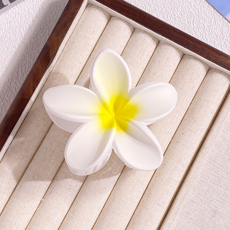 1/6 個 8 センチメートル女性の花のヘアクリップ休暇ボヘ - Women Accessories Wholesale China のレビューと価格